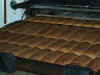 backst3.jpg (8735 Byte)